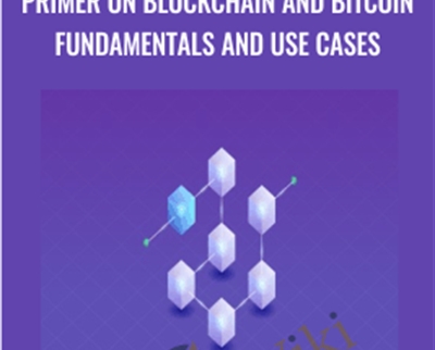 Primer on Blockchain and Bitcoin Fundamentals and Use Cases - Anonymous