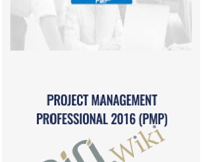 Project Management Professional 2016 (PMP)