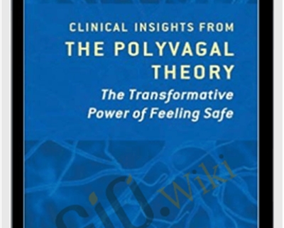 The Pocket Guide to the Polyvagal Theory: The Transformative Power of Feeling Safe – Stephen W. Porges