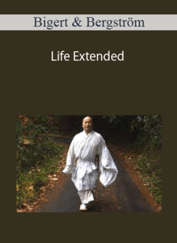 Bigert & Bergström – Life Extended