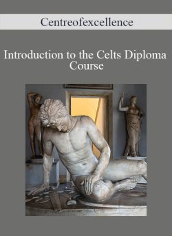 Centreofexcellence – Introduction to the Celts Diploma Course